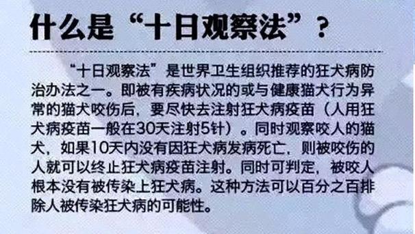 狂犬病到底是什么原理小区疑疯犬咬伤多人犯法吗小区疑疯犬咬伤多人