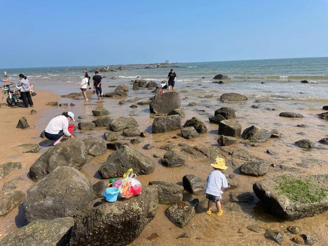 海蛎子养殖台风过后海滩上有没有海鲜大连黑石礁能赶海吗