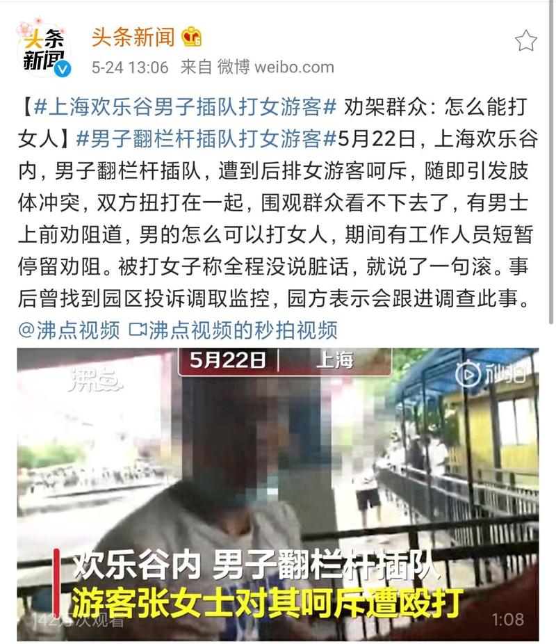 上海欢乐谷男子插队，被劝阻不听，反而殴打女游客，怎么回事上海迪士尼道歉完整版经典变“邪典”，如何“救救孩子” 朗逸(239995)